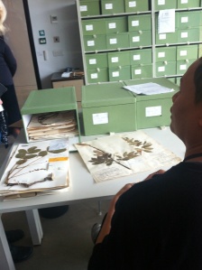 Plant studies in the Plant Library; The Herbarium at Kew Gardens.